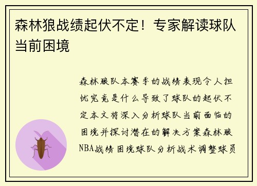 森林狼战绩起伏不定！专家解读球队当前困境